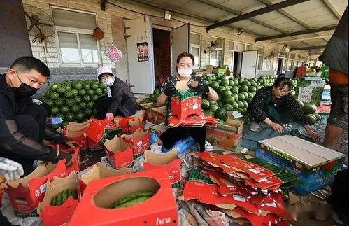 清朝吃瓜群众图片高清,吃瓜群众的高清图鉴