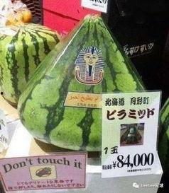 中国吃瓜群众在美国,中国吃瓜群众眼中的异国风情