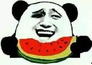 熊猫做起了吃瓜群众,围观吃瓜界的欢乐时光