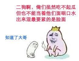 狗子吃瓜群众表情包,揭秘网络表情包背后的趣味与智慧