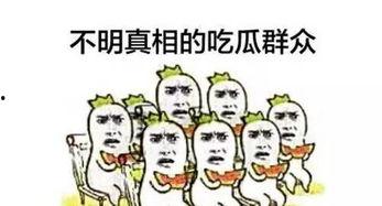 一起来当吃瓜群众,揭秘娱乐圈幕后故事