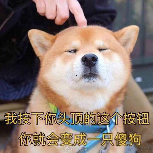 吃瓜群众宝宝抠图图片,吃瓜群众视角下的趣味瞬间