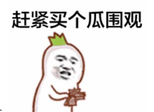 吃瓜群众笑看抢房视频,吃瓜群众镜头下的疯狂一幕