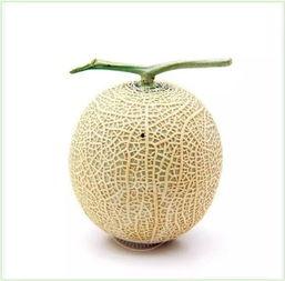 怎么更换吃瓜群众头像,吃瓜群众新形象！