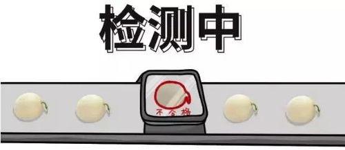 一个吃瓜群众的代号,一位吃瓜群众的成长轨迹