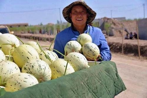 一个吃瓜群众的代号,一位吃瓜群众的成长轨迹