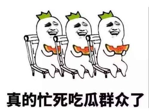 吃瓜群众趣事集锦