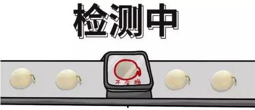 怎样解决吃瓜群众,如何理性看待网络舆论