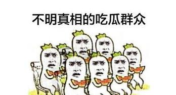 不看热闹的吃瓜群众,揭秘吃瓜群众的冷静态度