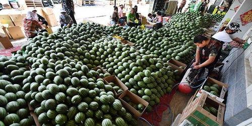 左各庄吃瓜群众是谁