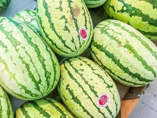 江阴吃瓜群众事件,网络围观下的社会现象解析