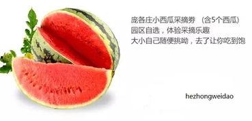 老家的味道吃瓜群众,吃瓜群众的味蕾回忆之旅