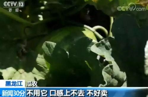 吃瓜群众请注意剧情,剧情揭秘，真相大白！