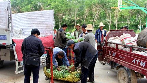 濮阳金堤路吃瓜群众,吃瓜群众见证的街头风云