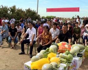 濮阳金堤路吃瓜群众,吃瓜群众见证的街头风云