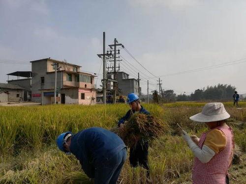 吃瓜群众黄小哥是谁,网络红人的崛起之路