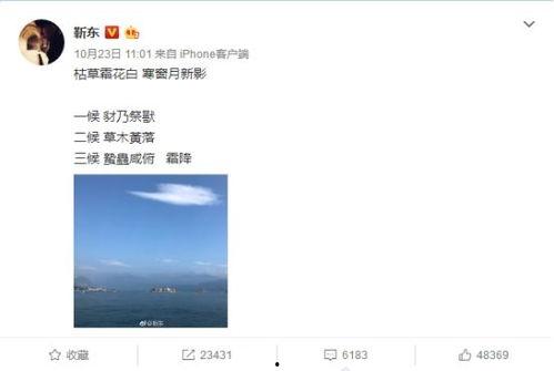 吃瓜群众惹错人视频播放,视频播放引发热议