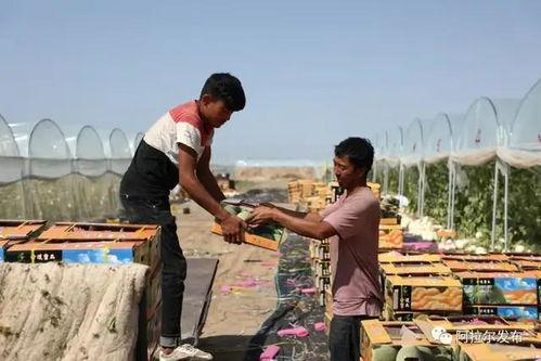 吃瓜群众甜蜜视频,揭秘吃瓜群众甜蜜视频背后的故事