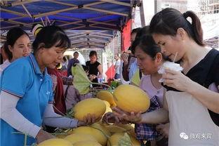 吃瓜群众甜蜜视频,揭秘吃瓜群众甜蜜视频背后的故事