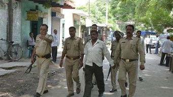 雄县吃瓜群众事件始末,一场网络舆论的风波与反思