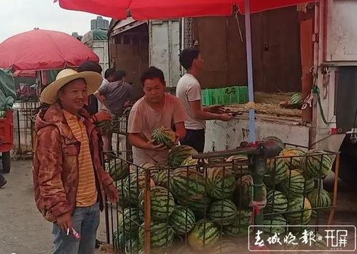 雄县吃瓜群众事件始末,一场网络舆论的风波与反思