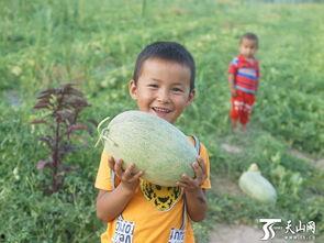 吵架小孩吃瓜群众,吃瓜群众热议家庭教育