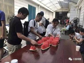 成华区吃瓜群众事件视频,一场网络舆论的风暴与反思