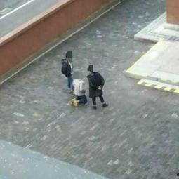 吃瓜群众下跪,一场意外的网络狂欢